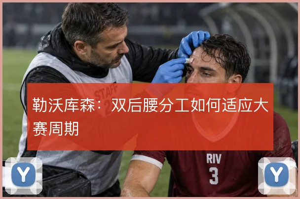 勒沃库森：双后腰分工如何适应大赛周期