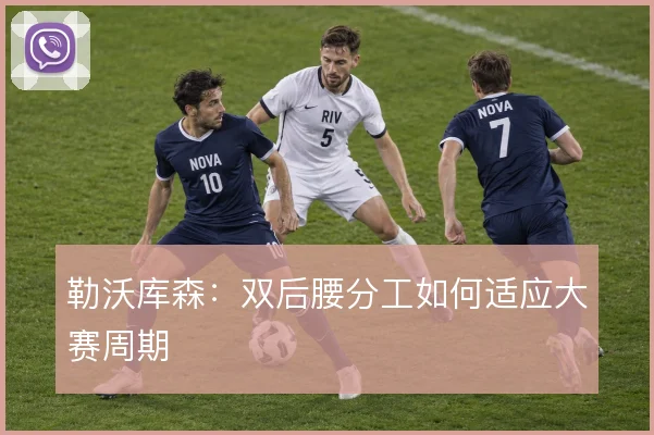 勒沃库森:双后腰分工如何适应大赛周期