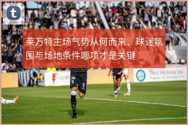 莱万特主场气势从何而来，球迷氛围与场地条件哪项才是关键